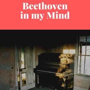 Listen to Piano Concerto No. 1 song with lyrics from Cleveland Orchestra