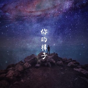 Listen to 你的样子 song with lyrics from 刘莱斯