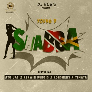 收聽DJ Norie的Shabba歌詞歌曲