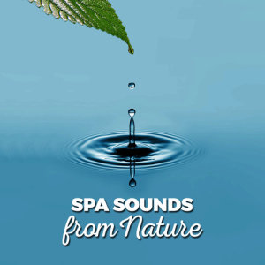 收聽Sounds of Nature Relaxation的Natural Life歌詞歌曲