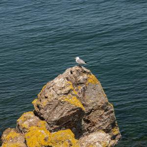 ดาวน์โหลดและฟังเพลง Raging Rivers (Explicit) พร้อมเนื้อเพลงจาก steboskeezy