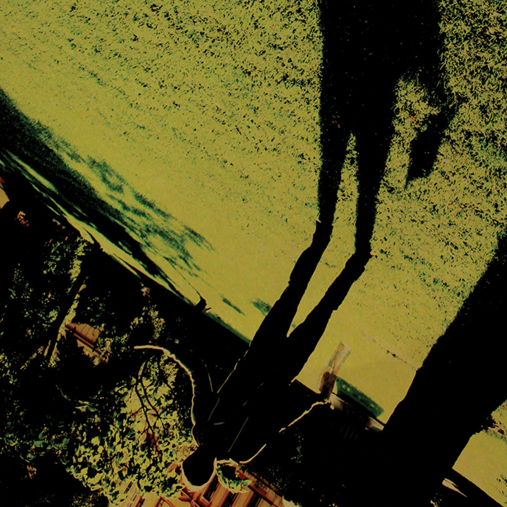 Into the Night