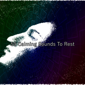 Relaxing With Sounds of Nature and Spa Music Natural White Noise Sound Therapy的专辑59 Calming Sounds To Rest