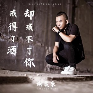 Listen to 戒得了酒却戒不了你 (完整版) song with lyrics from 谢震东