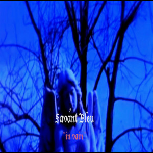收听Savant Bleu的In Vain歌词歌曲