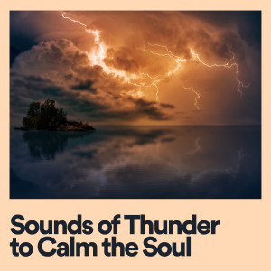 อัลบัม Sounds of Thunder to Calm the Soul ศิลปิน Stormy Station