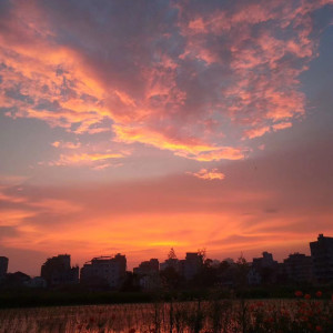 Album 三年 from 谢成