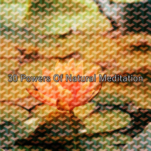 อัลบัม 30 Powers Of Natural Meditation ศิลปิน Music for Deep Meditation