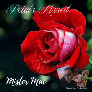 Listen to Petals Kissed song with lyrics from Mister Mac