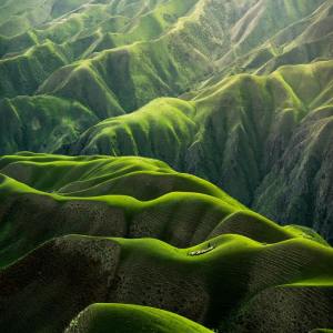 SPA的专辑Embrace Your Day | Spa, Relaxation Zen Sounds