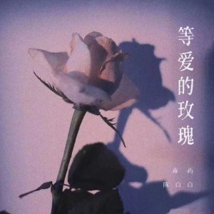收聽毒藥的等愛的玫瑰 (cover: DJ阿聖|鳳凰傳奇) (完整版)歌詞歌曲