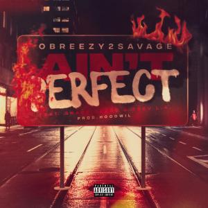 Obreezy2Savage的专辑Ain't Perfect (feat. Shady Guero & Trev L.A.) (Explicit)