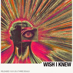 的专辑Wish I Knew