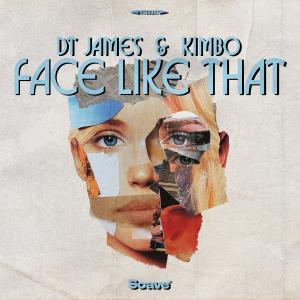 DT James的專輯Face Like That