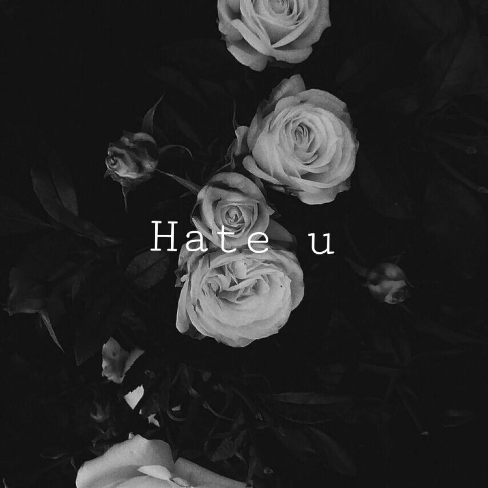 Hate U (其他)