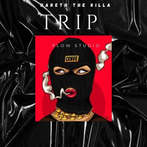 Hareth the Killa的专辑Trip (Spanish Version)