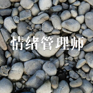 卢润泽的专辑情绪管理师