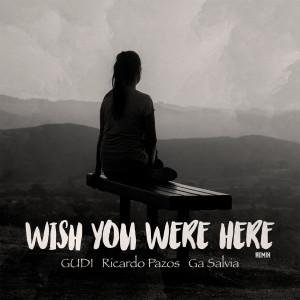 Album Wish You Were Here (Remix) from Gudi