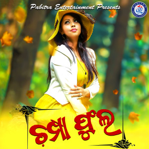 Album Champa Phula from Various