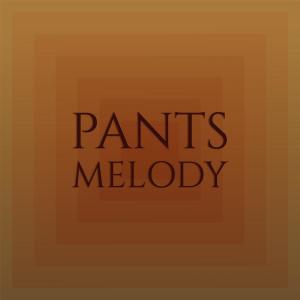 Various Artists的专辑Pants Melody