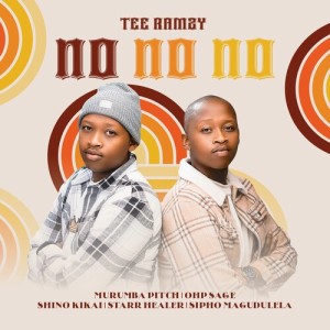 Listen to No No No song with lyrics from TEE Ramzy