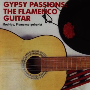 GYPSY PASSIONS THE FLAMENCO GUITAR