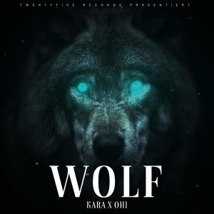 Album Wolf (feat. ohi) (Explicit) from KARA25