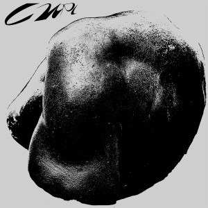 ดาวน์โหลดและฟังเพลง Cuerpo พร้อมเนื้อเพลงจาก Gezender