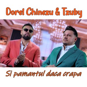Listen to Si pamantul daca crapa song with lyrics from Dorel Chinezu