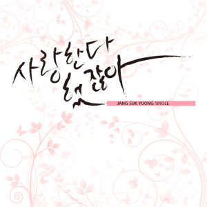 Listen to 사랑한다했잖아 (MR) song with lyrics from 장석영
