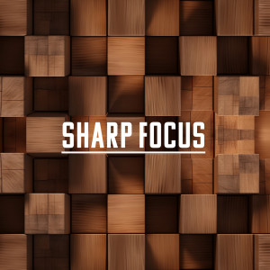 Album Sharp Focus (Brown Noise for Focus, Study, Relaxed Mind) from Relieving Stress Music Collection