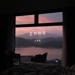 Album 悲伤情绪 from 王忻辰