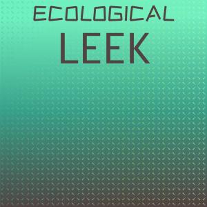 ดาวน์โหลดและฟังเพลง Bravo Phone พร้อมเนื้อเพลงจาก Inie Lmer