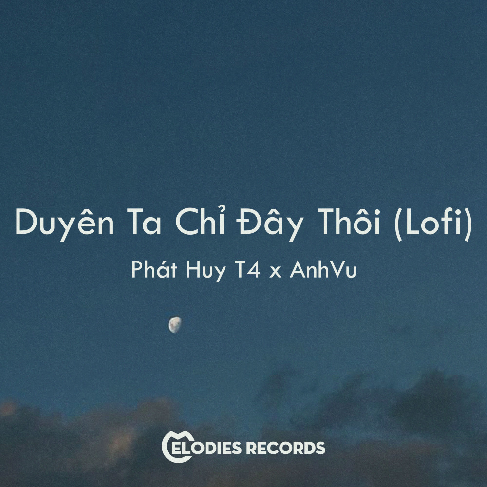 Duyên Ta Chỉ Đây Thôi (Lofi)