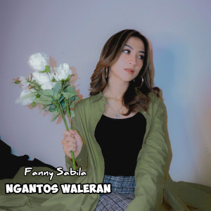 Album Ngantos Waleran from Fanny Sabila