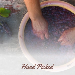 Album Hand Picked oleh Various