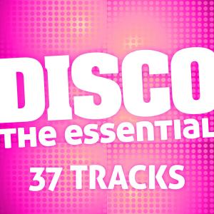 อัลบัม The Disco Essential (37 Tracks) ศิลปิน 