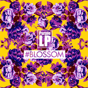 Album Blossom from 