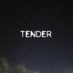 收聽텐더(TENDER)的星星歌詞歌曲