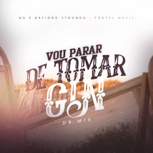 Album Vou Parar de Tomar Gin (DB Mix) oleh DG e Batidão Stronda