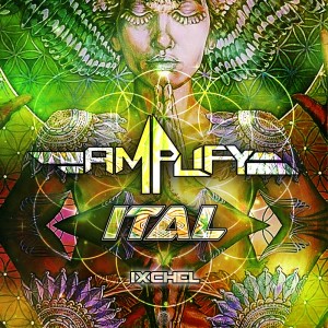 อัลบัม Ixchel ศิลปิน Amplify (MX)