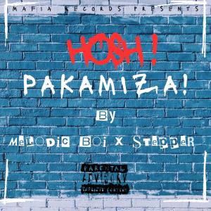Stepper的專輯Hosh Pakamiza (feat. Stepper) [Explicit]