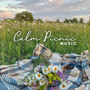Calm Picnic Music (Piano to Slow Down, Enjoy the Beautiful Weather and Have a Lovely Time)