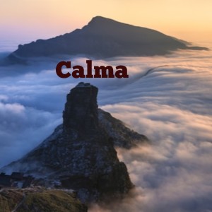 Listen to Paz Mental song with lyrics from Paz