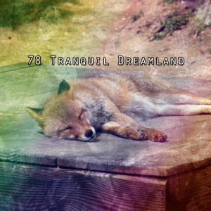 White Noise For Baby Sleep的專輯78 Tranquil Dreamland