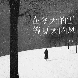 Album 在冬天的雪 等夏天的风 from 袁kk