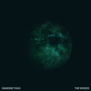 Dengarkan The Woods lagu dari Diamond Thug dengan lirik