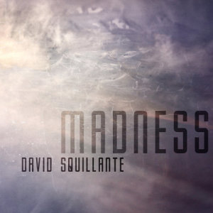 ดาวน์โหลดและฟังเพลง Madness (Original Mix) พร้อมเนื้อเพลงจาก David Squillante