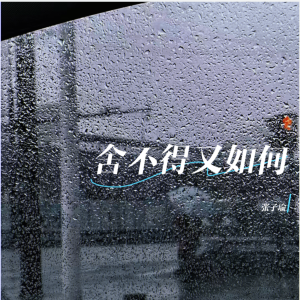 張子瑜的專輯捨不得又如何