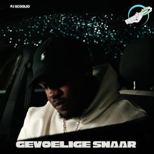 PJ Scoolio的專輯Gevoelige Snaar EP (Explicit)